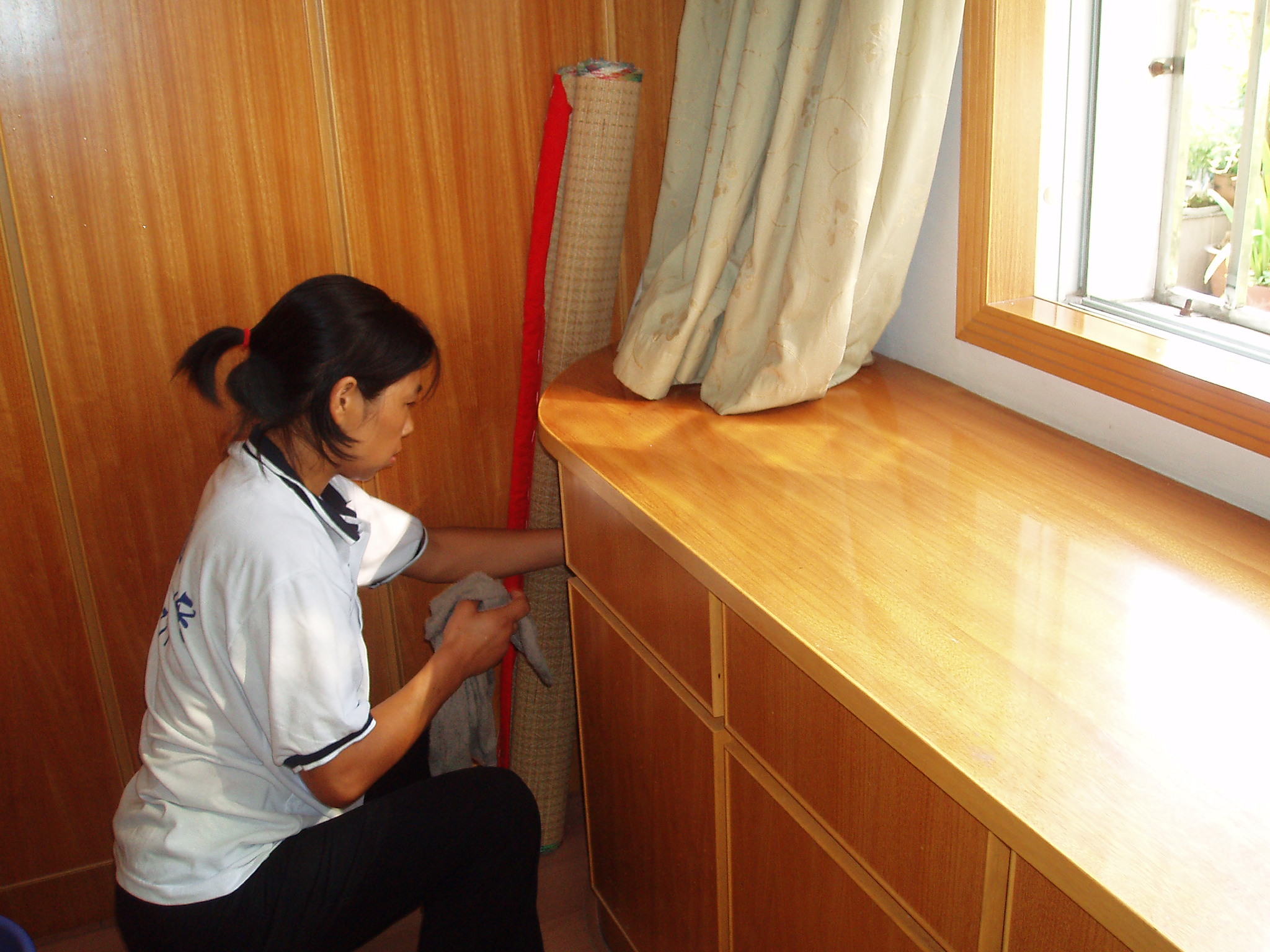 大連家政保潔與家政服務 專業(yè)助力生活品質提升