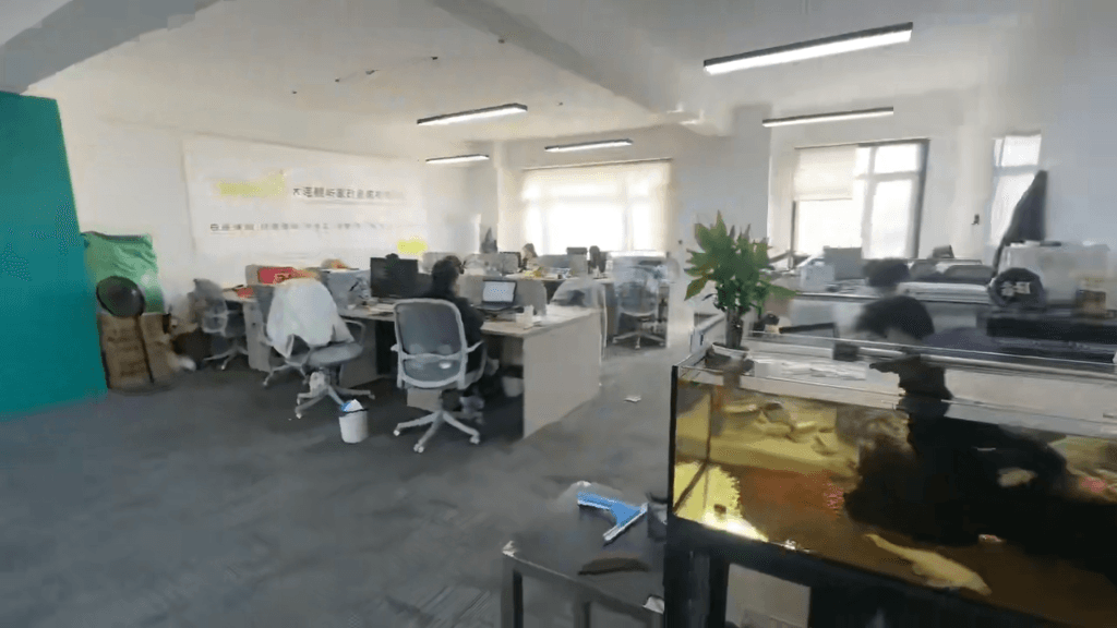 專業(yè)服務，家的港灣 大連鯨嶼家政服務引領品質生活新風尚