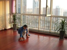 大連家政服務指南 精選公司電話與專業(yè)服務解析